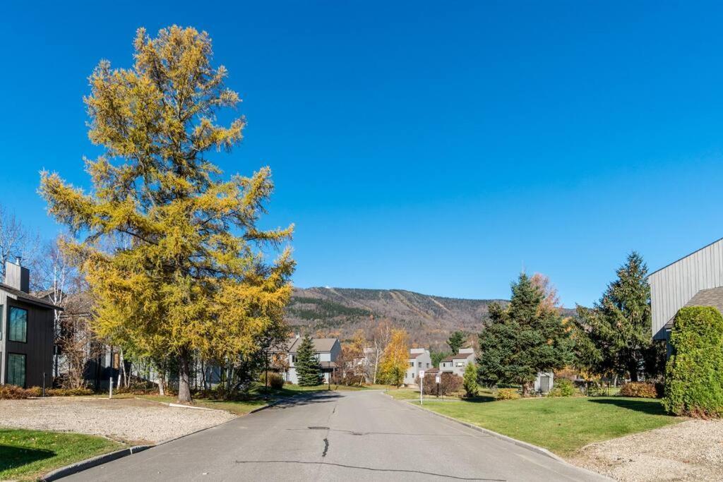 Initial - Sommet - Mont-Sainte-Anne Villa โบเพร ภายนอก รูปภาพ